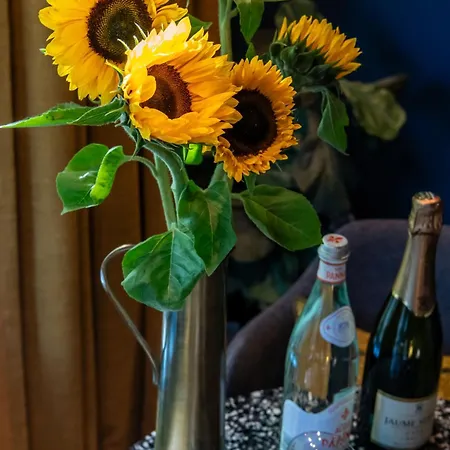 Luxurious In Vondelpark/museum District Amsterdam