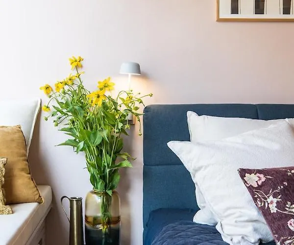 Luxurious In Vondelpark/museum District ゲストハウス 3*