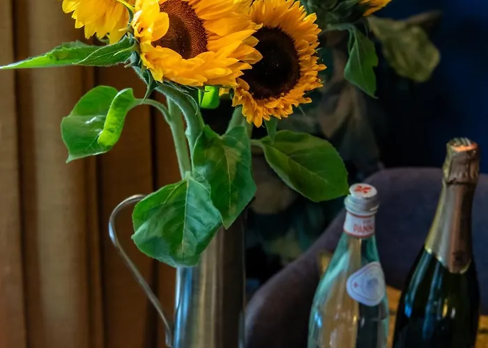 Luxurious In Vondelpark/museum District アムステルダム