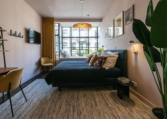 ゲストハウス Luxurious In Vondelpark/museum District 3*